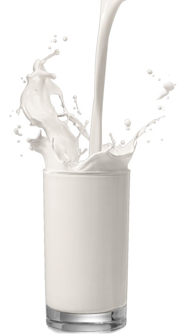 Молоко “Пармалат” 1л