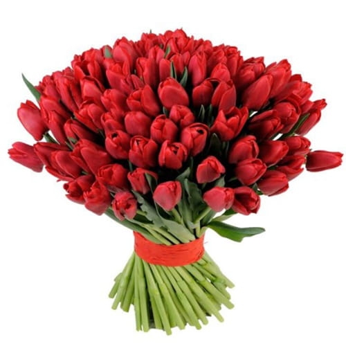 Букет красных тюльпанов - 101 шт.