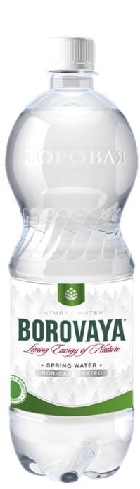 "Боровая лечебно-столовая" 1л б/г