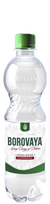 "Боровая лечебно-столовая" 0.5л газ