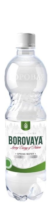 "Боровая лечебно-столовая" 0.5л б/г