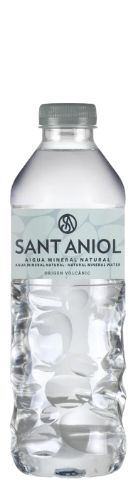 Sant Aniol ("Сант Аниол") 0.33л б/г