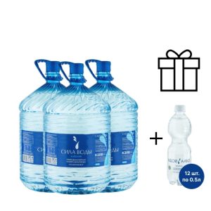 Комплект "Выгодный Сила воды Карелия"