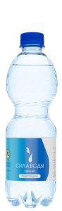 "Сила воды Карелия" 0.5л газ.