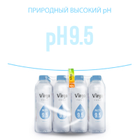 Virgo fons (Вирго фонс)