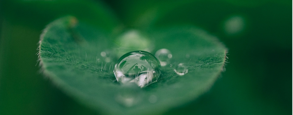 Выгорание и стресс можно облегчить с помощью питьевой воды — ученые